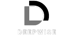 DEEPWISE TEKNOLOJİ VE YAZILIM ANONİM ŞİRKETİ