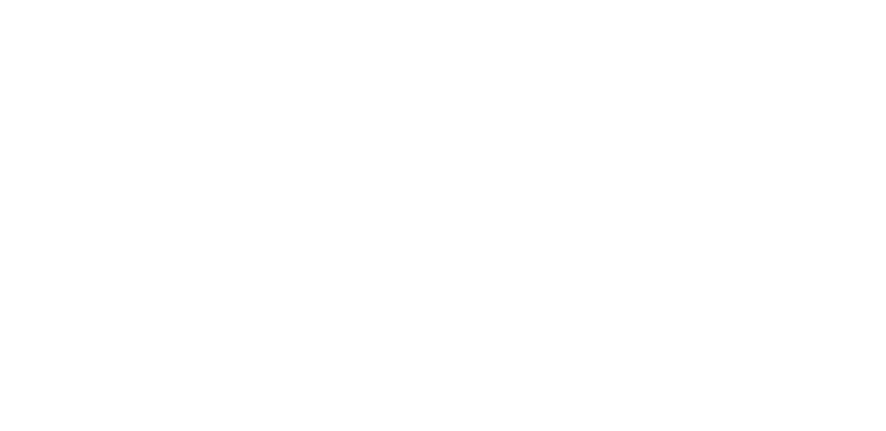 BORDA TEKNOLOJİ BİLİŞİM A.Ş.